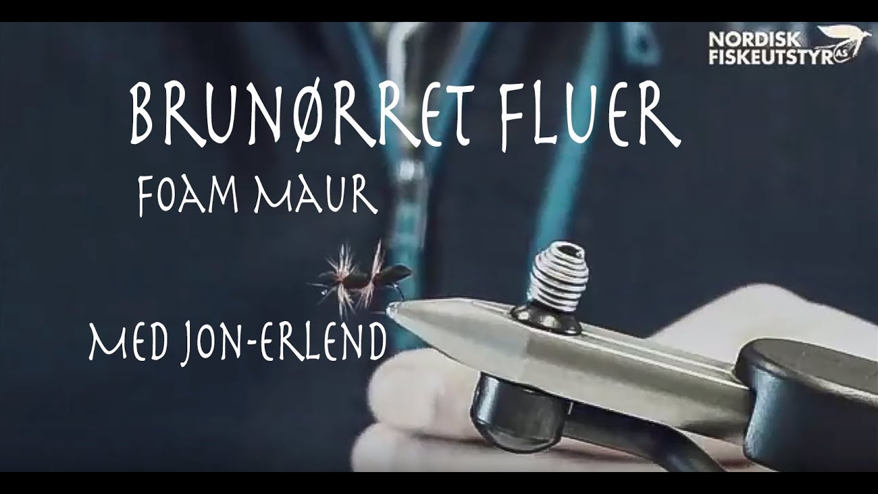 Foam maur