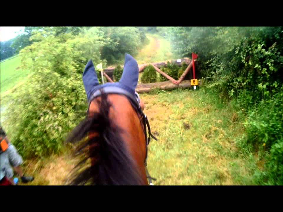 Casciana: SGW Vinkega 2014 B paarden