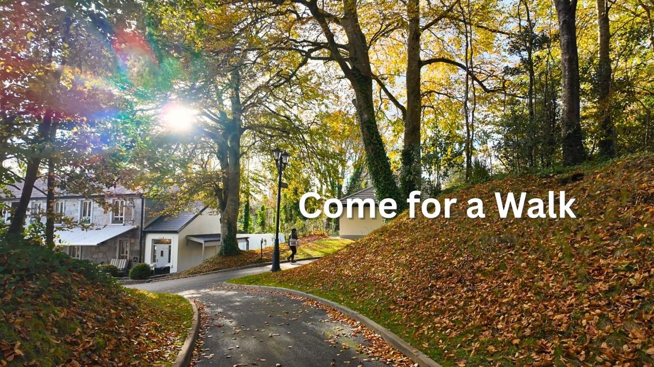 ☘️ Beautiful Village Walks | Walking Tour Compilation | Glaslough, Cong, Carlingford, and Spiddal |