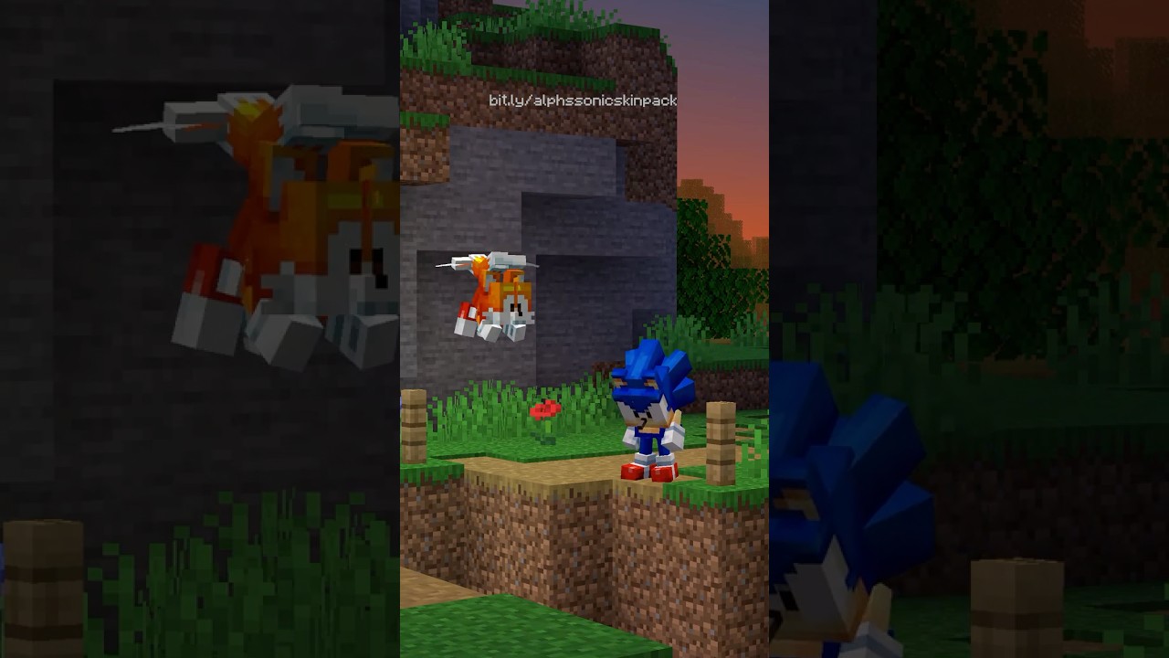 Yeah, he's okay 👍 #minecraft #sonicthehedgehog