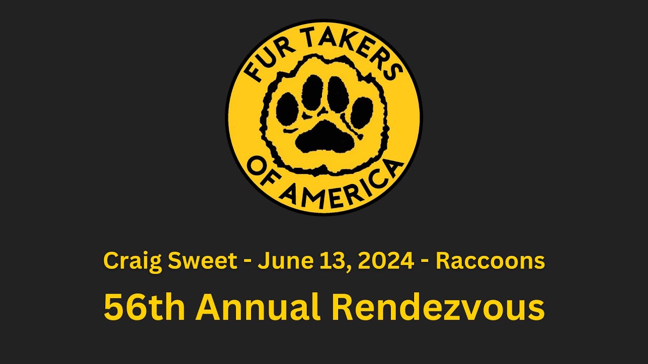 Demo Teaser #5 - Craig Sweet talking DP's & Raccoons