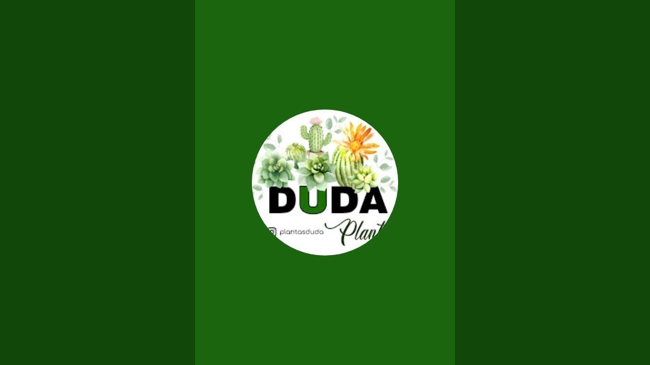 LIVE Shop de Suculentas 30/01! Duda Plantas Joinville!
