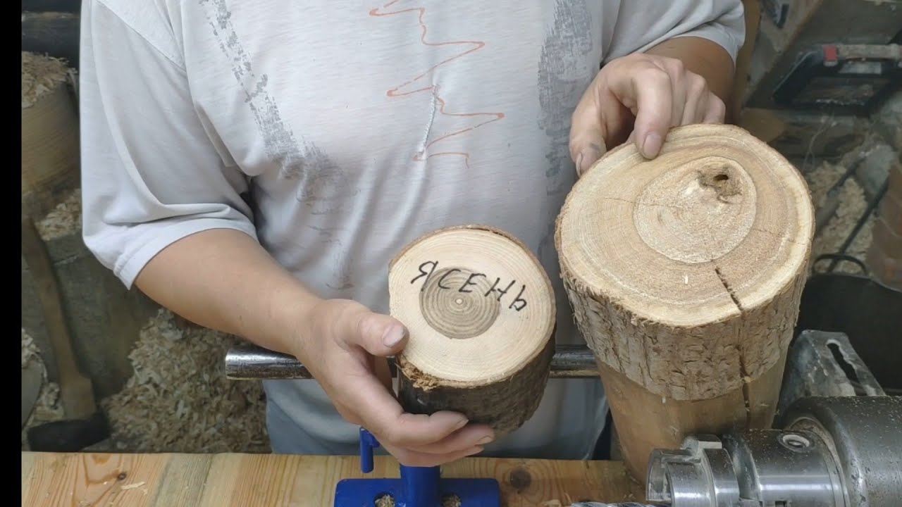 Ясень. Какой он?