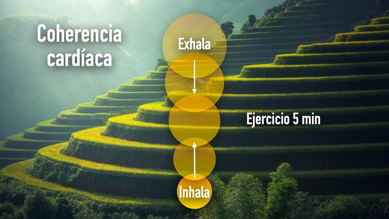 Coherencia Cardíaca - Ejercicio 5 minutos (respiración)