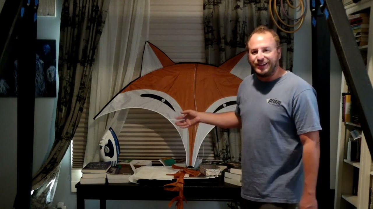 HQ Fox Kite Review