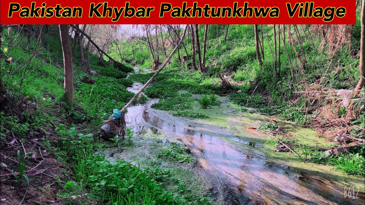 Village Life In Pakistan Khybar Pakhtunkhwa Village Swabi Pakistan Volg 2020