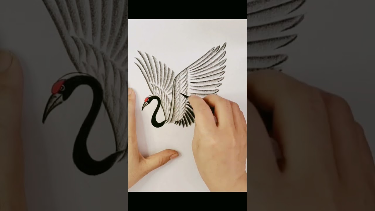 How to Draw a fishing Bird.. #trending #viral #fishingbird #drawing #draw