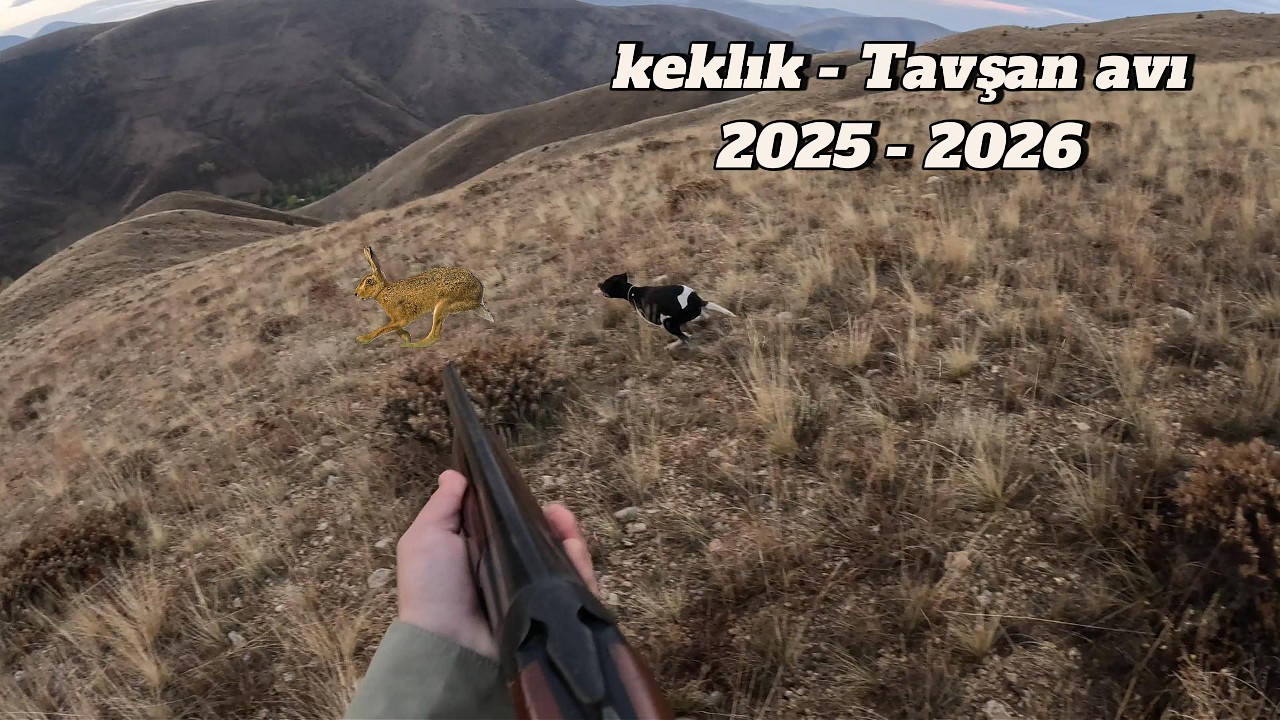 DOĞU ANADOLU KEKLİK VE TAVŞAN AVLARI BÖLÜM - 3 (2025-26 AV SEZONU)