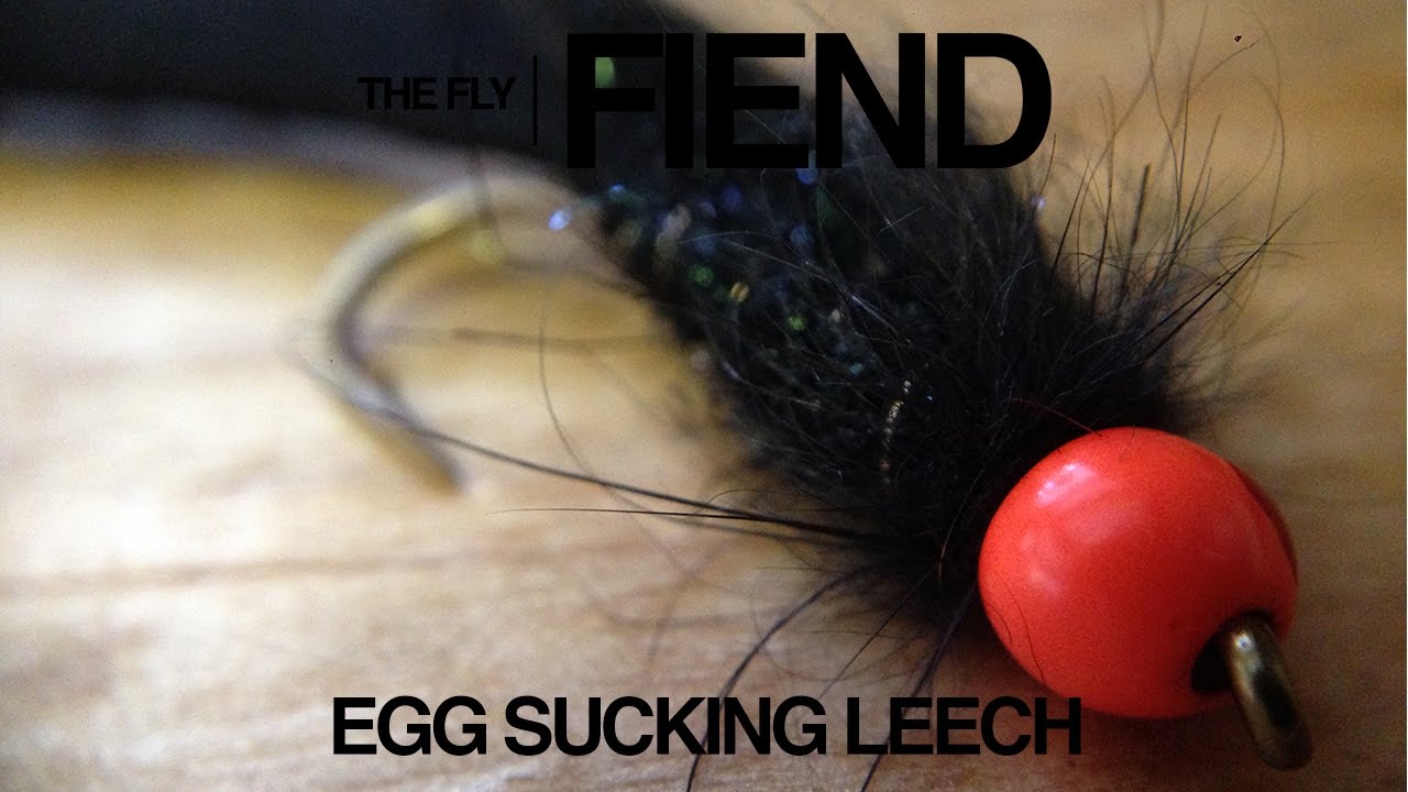 Egg Sucking Leech Fly Tying Tutorial | The Fly Fiend.
