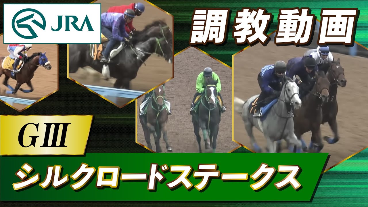 【調教動画】2026年 シルクロードステークス｜JRA公式