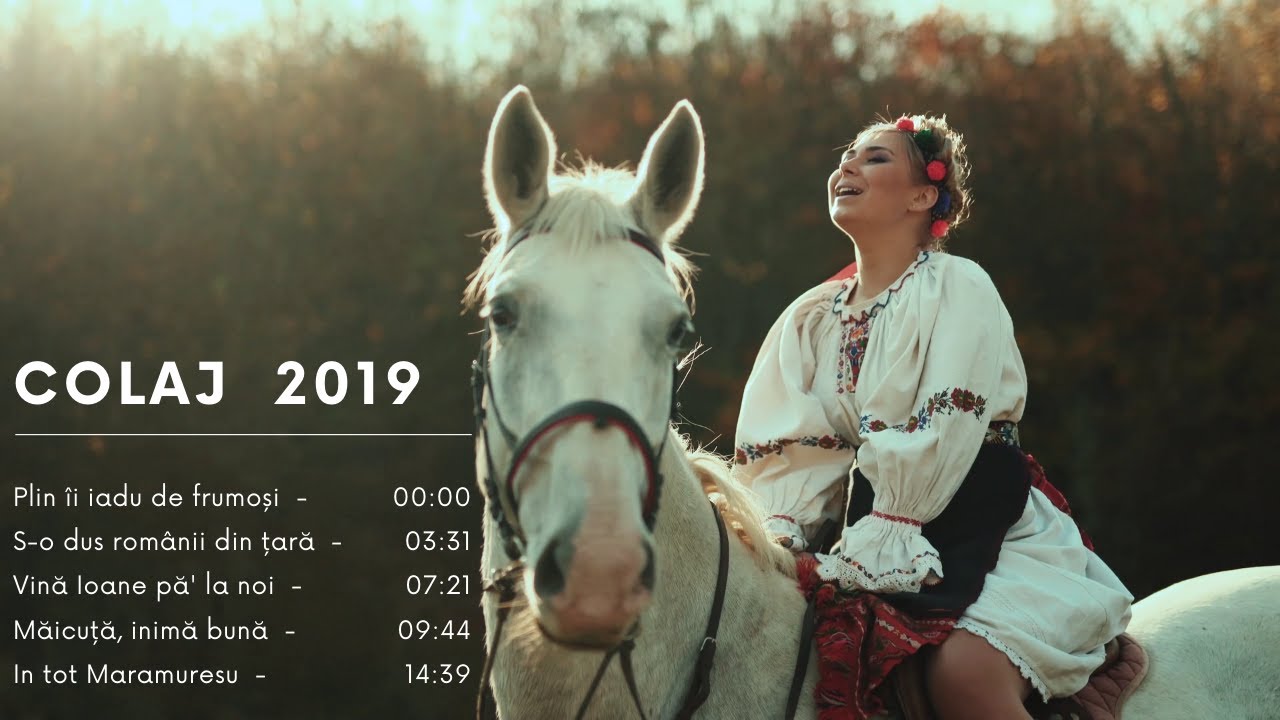 Colaj 2019  - Andreea Ghitiu