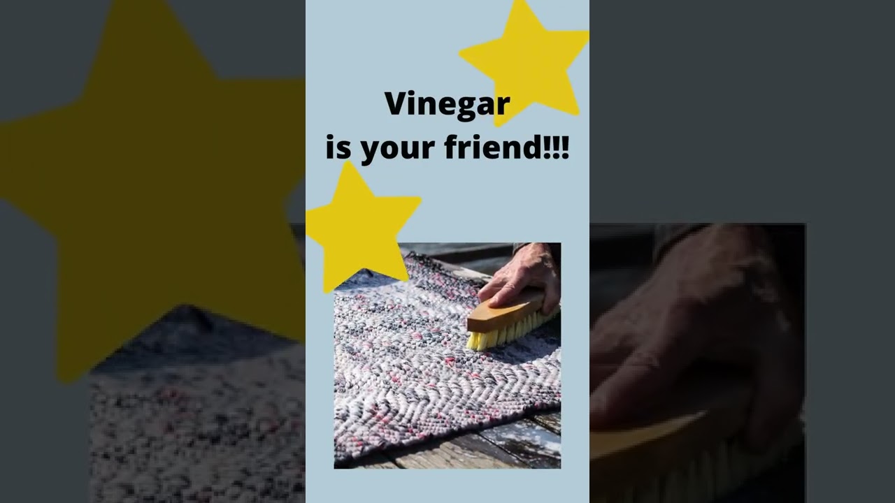 How to get dog pee stains and smell out of your carpet!