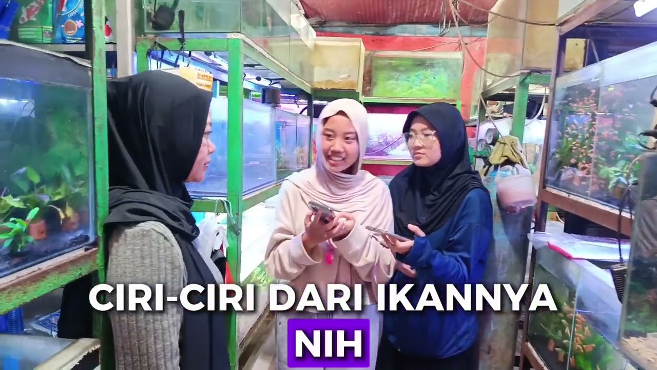 Tugas Pkwu Budidaya Ikan - Kelompok 4