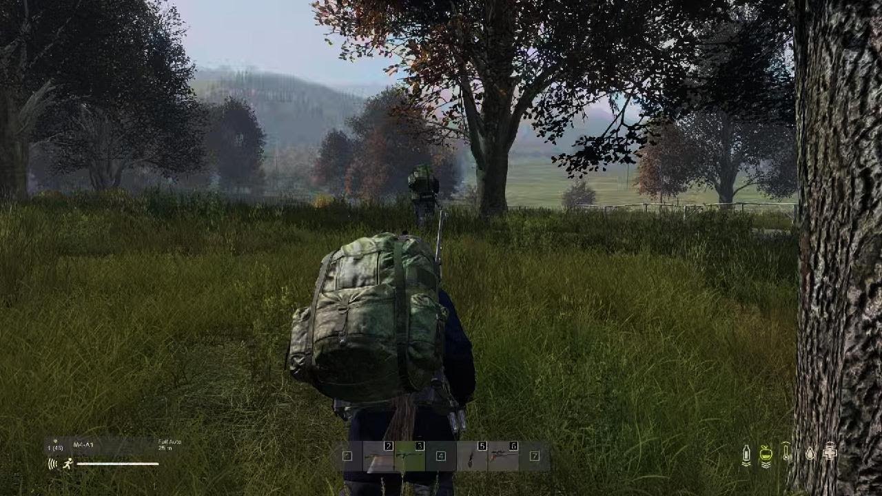 DayZ Killed bush campers
