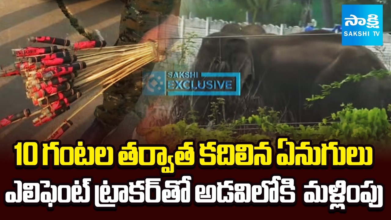 Chittoor Elephant Updates | Officials Elephants Diverting With with Elephant Tracker | Sakshi TV