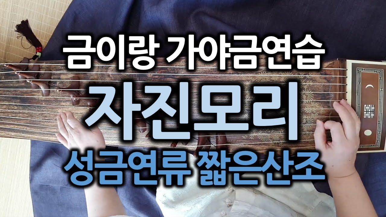 성금연류 짧은산조 - 자진모리 - 금이랑 가야금 연습