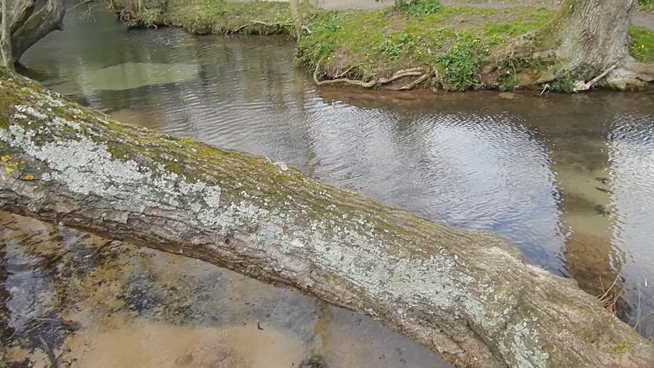 Eaux Bleues de Tavers
