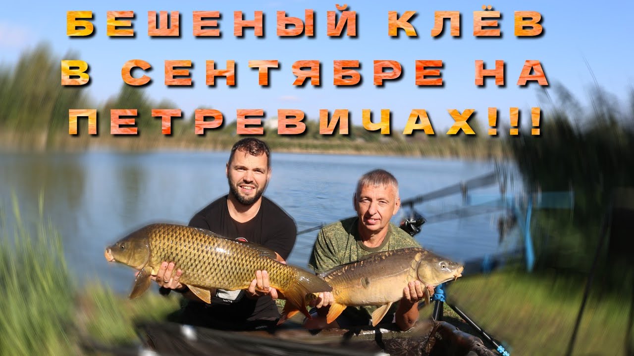 Ловля карпа в сентябре. Бешеный клёв карпа осенью на водоёме Петревичи.
