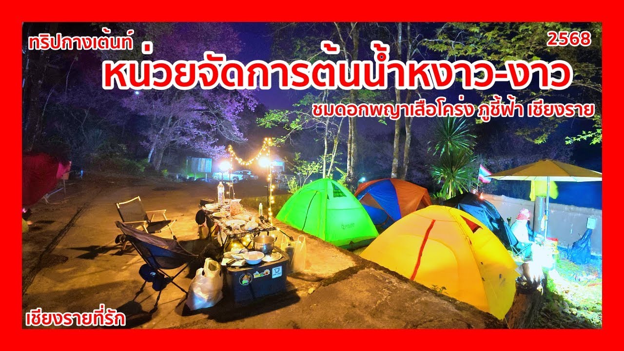 ทริปกางเต้นท์ หน่วยจัดการต้นน้ำหงาว-งาว ชมดอกพญาเสือโคร่ง ภูชี้ฟ้า เชียงราย