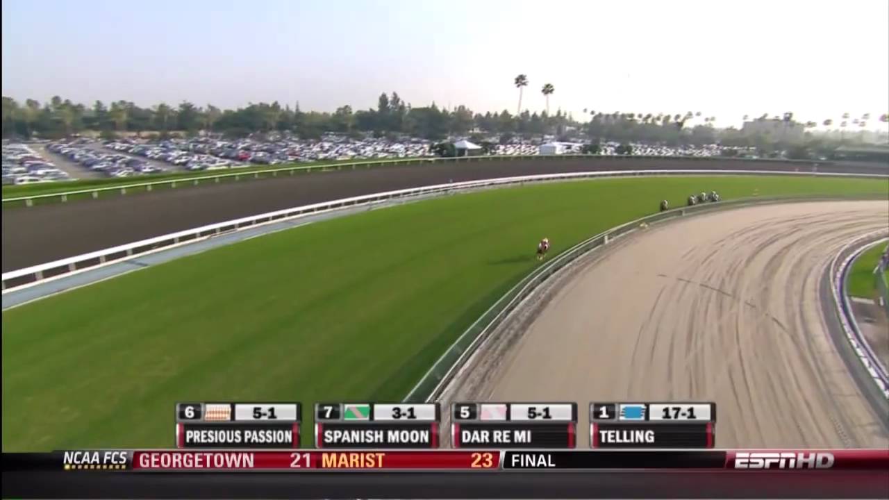 2009 Emirates Airline Breeders' Cup Turf