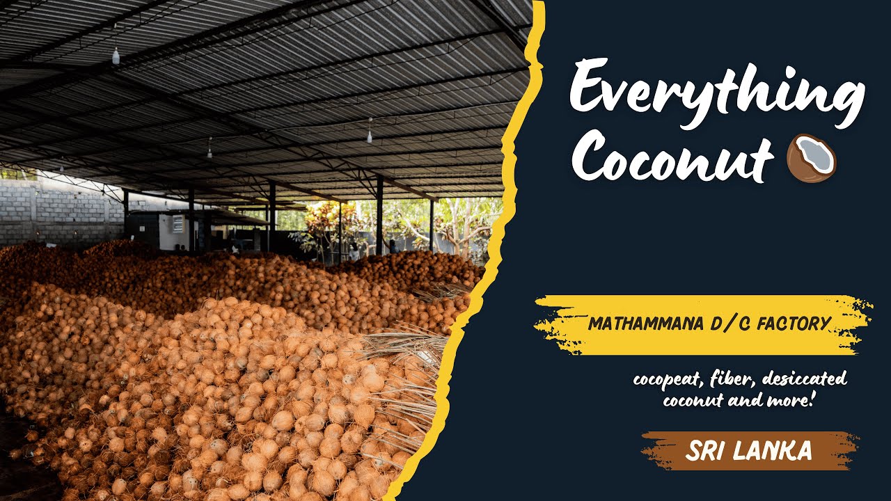 Mathammana D/C Factory - Sri Lanka