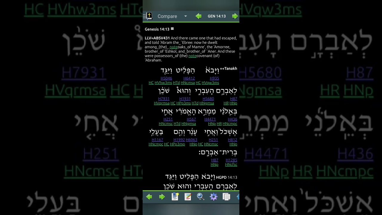 Genesis 14 LLV431 for 2026 (Read Me The Bible, Garth.)