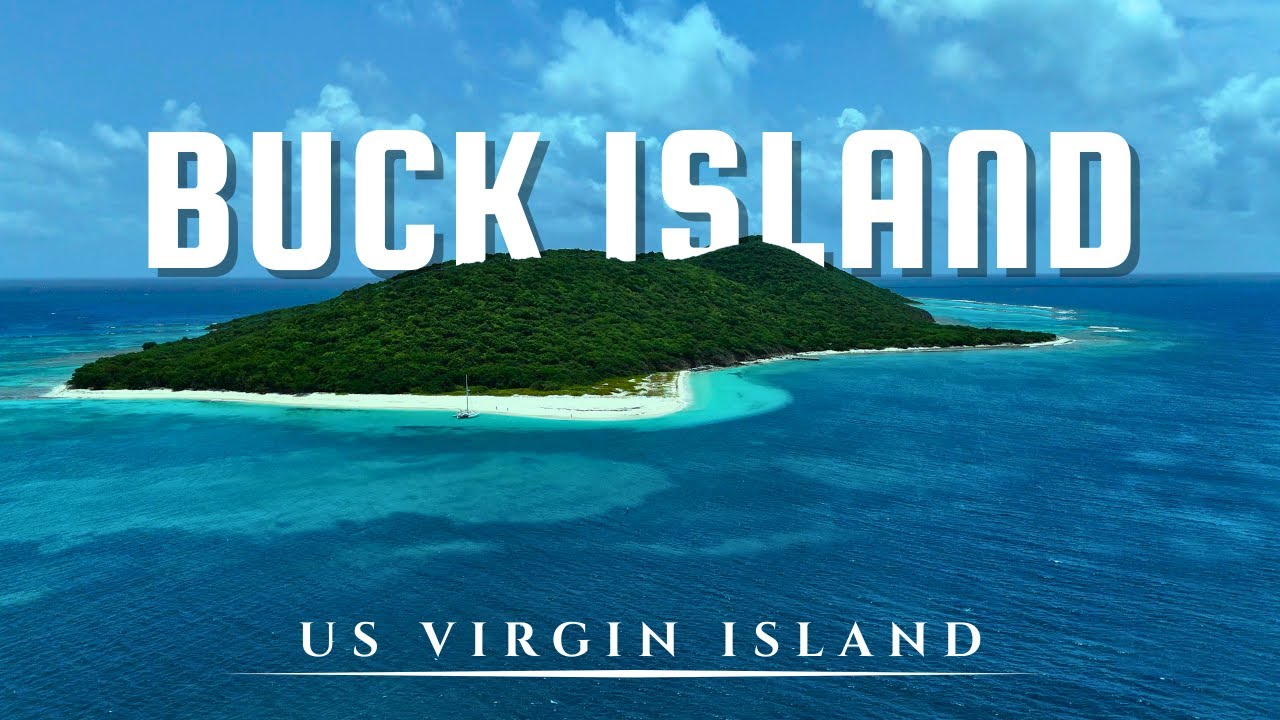 Explore the HIDDEN GEM of Buck Island St Croix