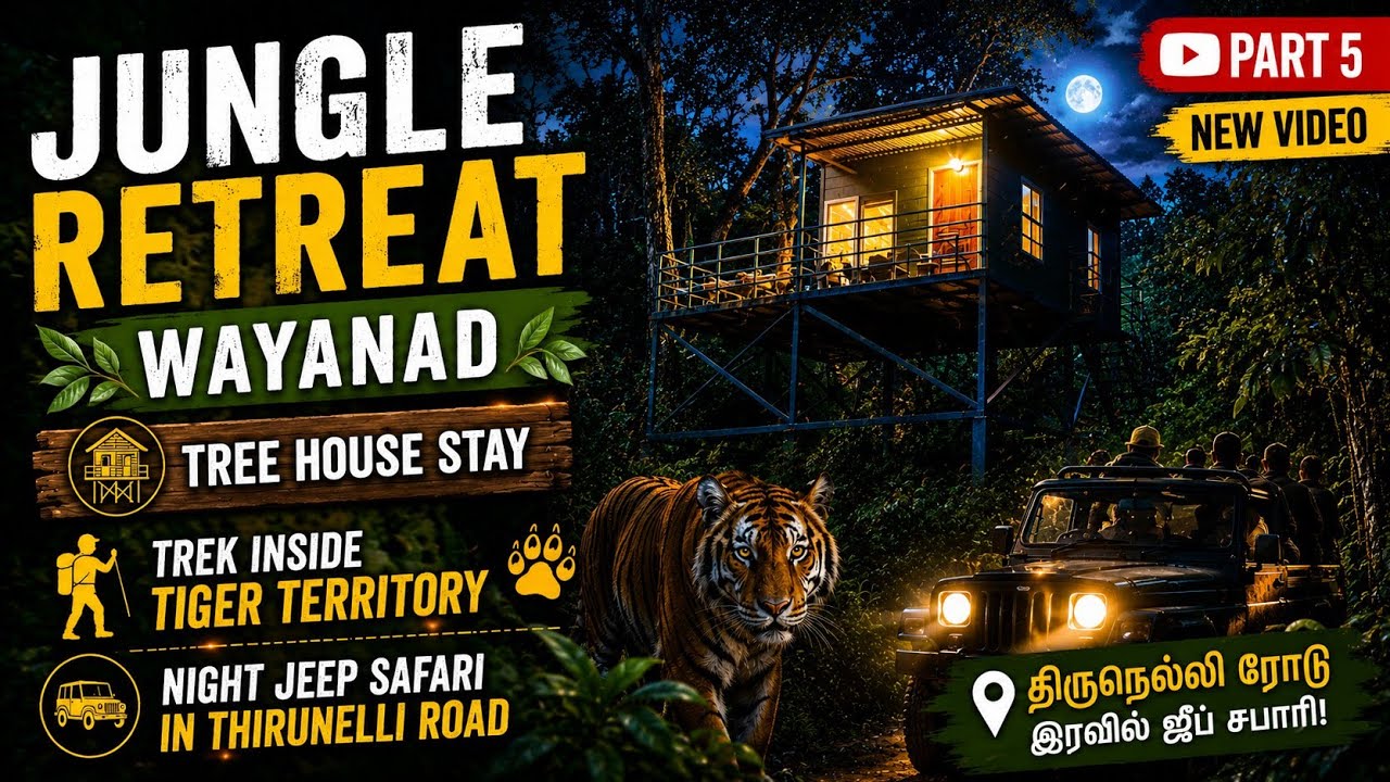 🐅புலிகள் இருக்கும் பகுதிக்குள் நடக்க தைரியம் இருக்கிறதா? #jungleretreat #wayanadresorts #foreststay 