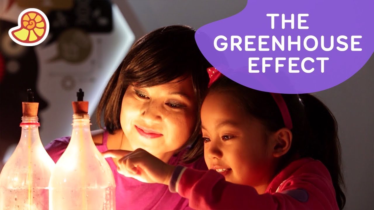Try This Greenhouse Effect Experiment 🌡️🌍 | One Stop Science Shop