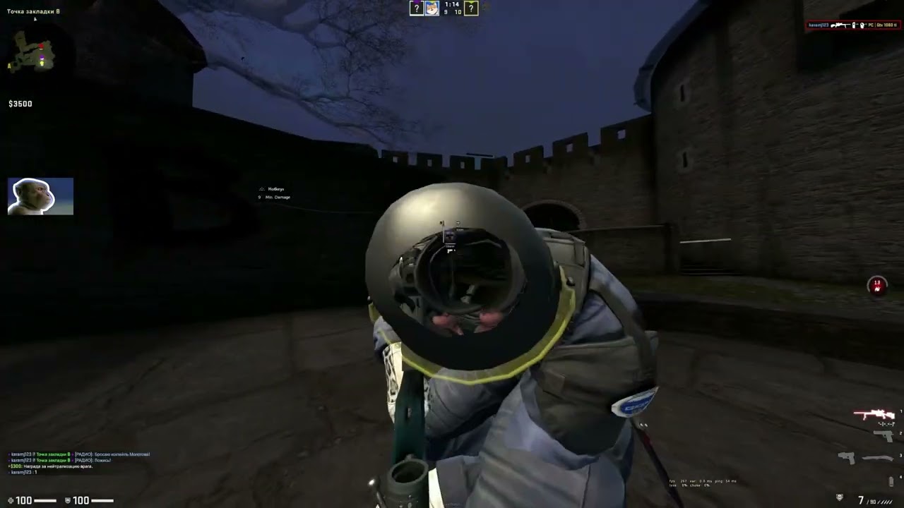 pengu x mowi