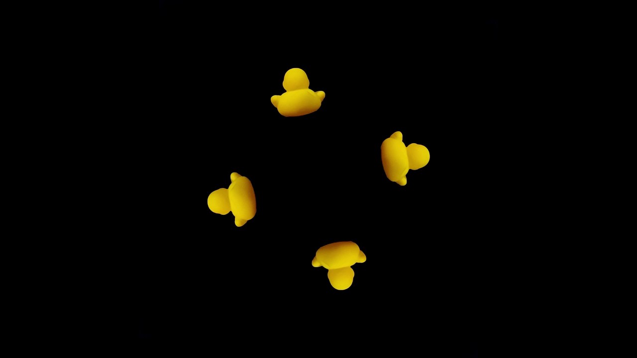 CTCH 110 - 3D Duck Hologram Video