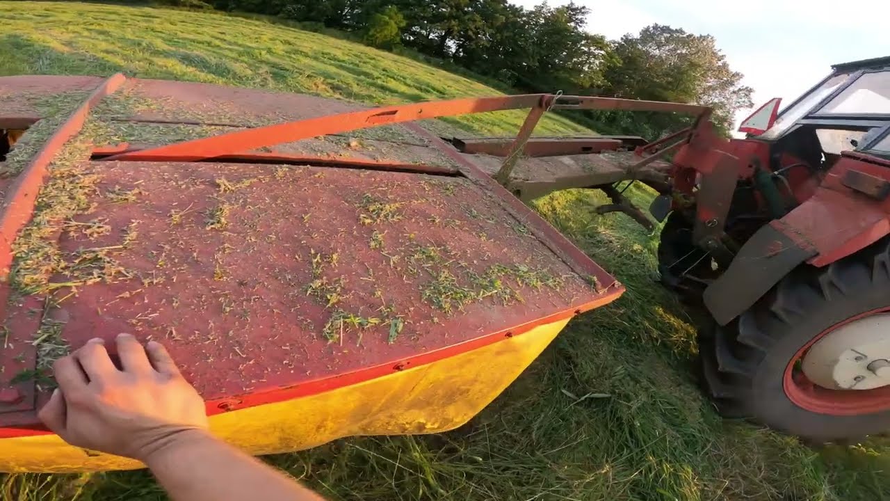 Farmvlog #7 - Kosenie lúk (Zetor 6911 + Banrol Z-041) + pomocník Bocian