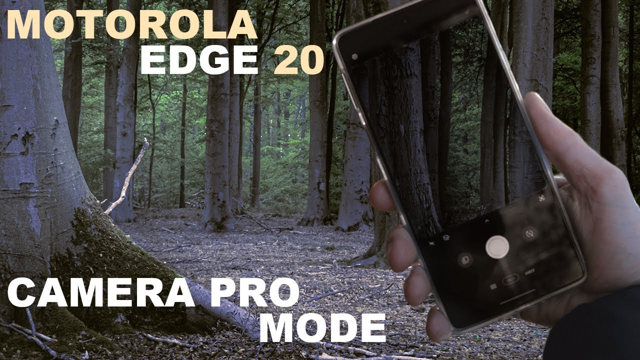 Motorola Edge 20 using the PRO MODE of the built-in camera app for nature photography