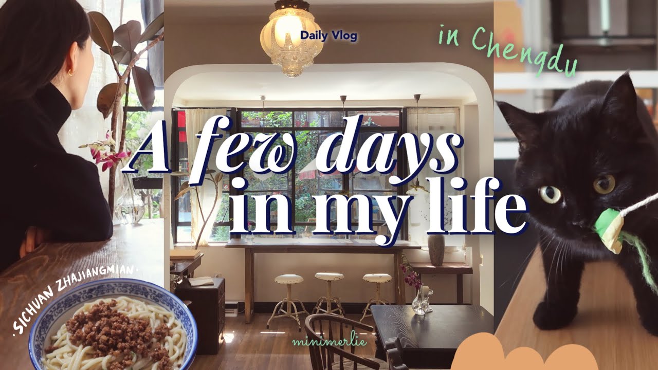 China Vlog 🐈‍⬛ Lijiang Trip Souvenir Haul, A Perfect Cat Day, Aesthetic Cafe, Sichuan Zhajiangmian
