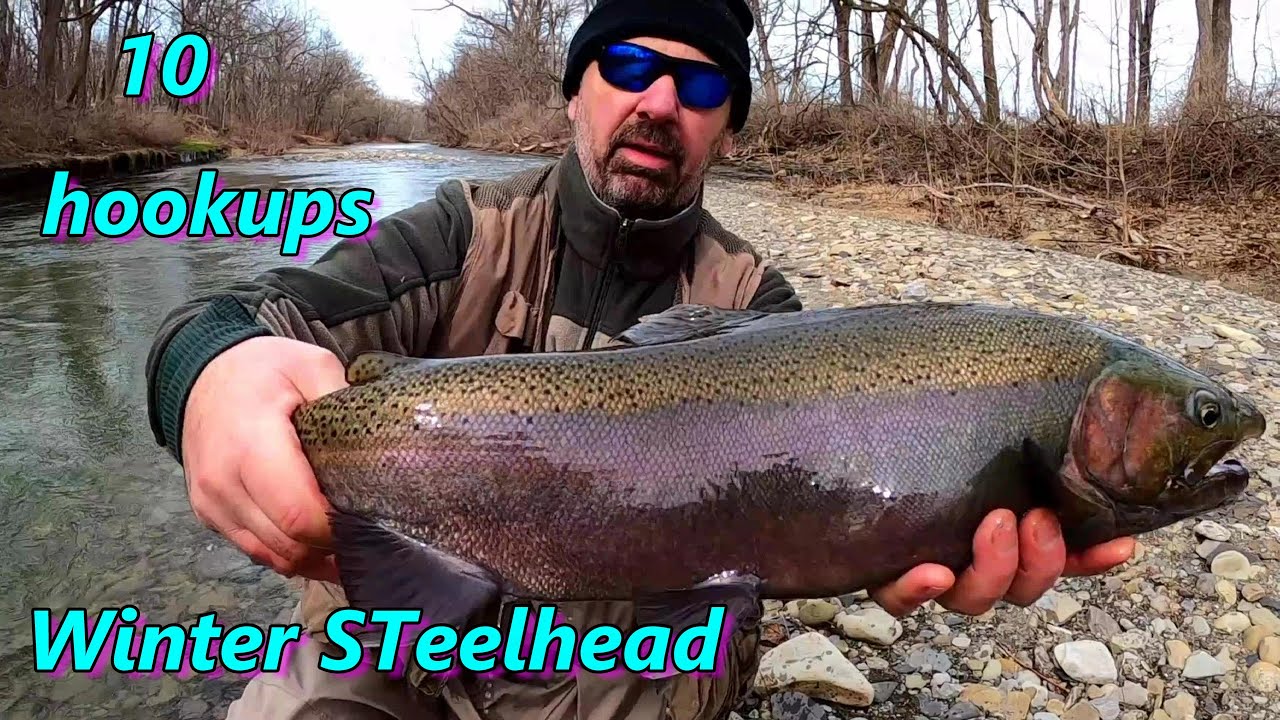 Low Clear February STeelhead 2023