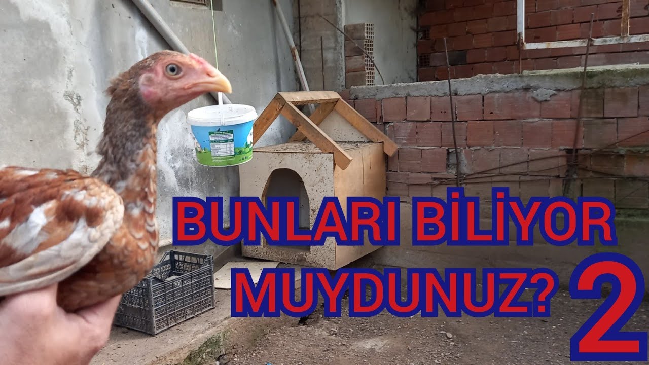 # 78 # HİNT HAYVANLARINDA BİLİNMESİ GEREKENLER 2