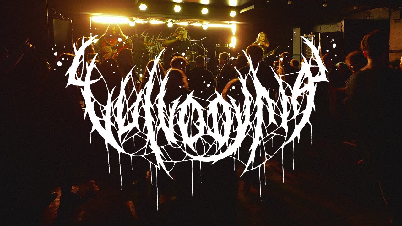 Vulvodynia  - Live at Double Whammy (2024)
