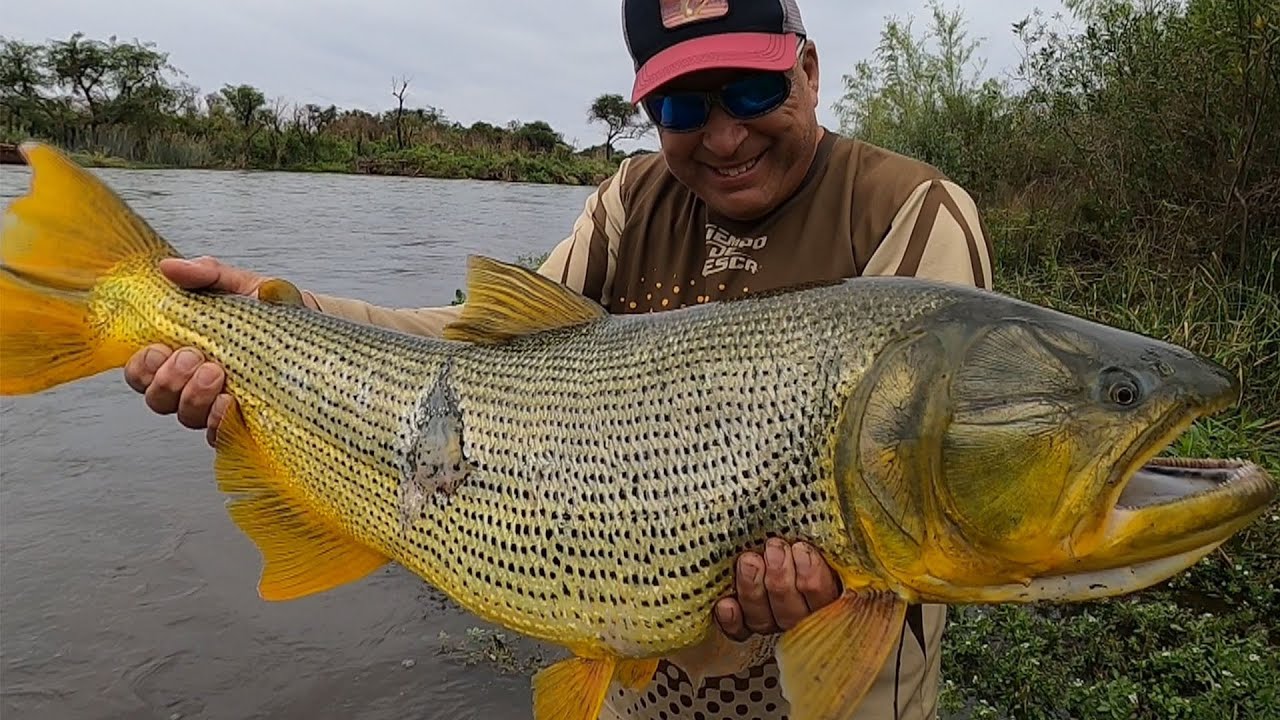 El rey del Juramento es mi viejo...y su boya!!!