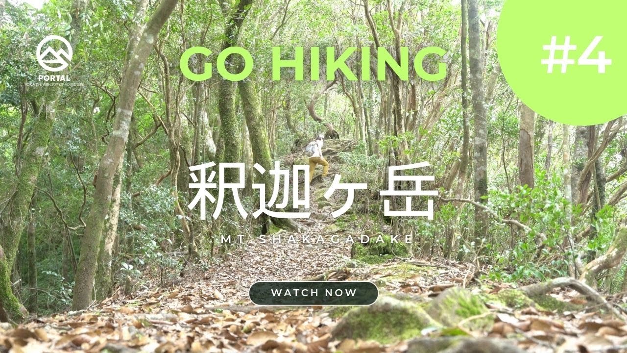 【トレーニングにも最適】釈迦ヶ岳 -宮崎県国富町-