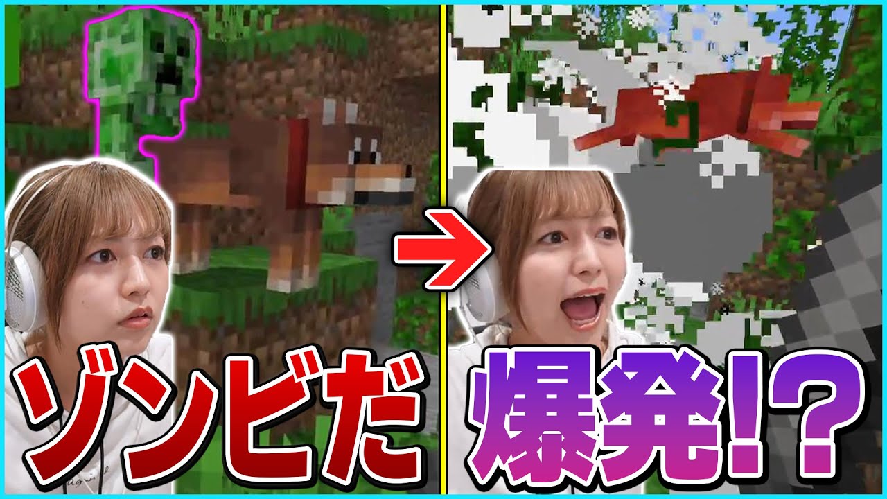 【初見マイクラ】クリーパーの対処法が分からず、愛犬と愛馬を爆破されてしまうあゆたろう【#3/中村歩加/Minecraft/切り抜き】