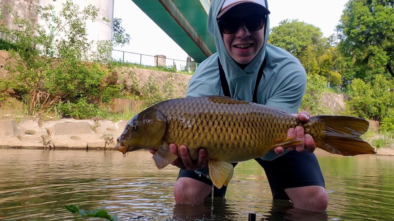 Big Fish on the FLY! ||JAPAN||