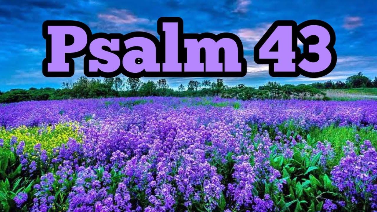 🌅 Psalm 43 – Pan Jest Moją Nadzieją | Pieśń Uwielbienia 🙏🎶