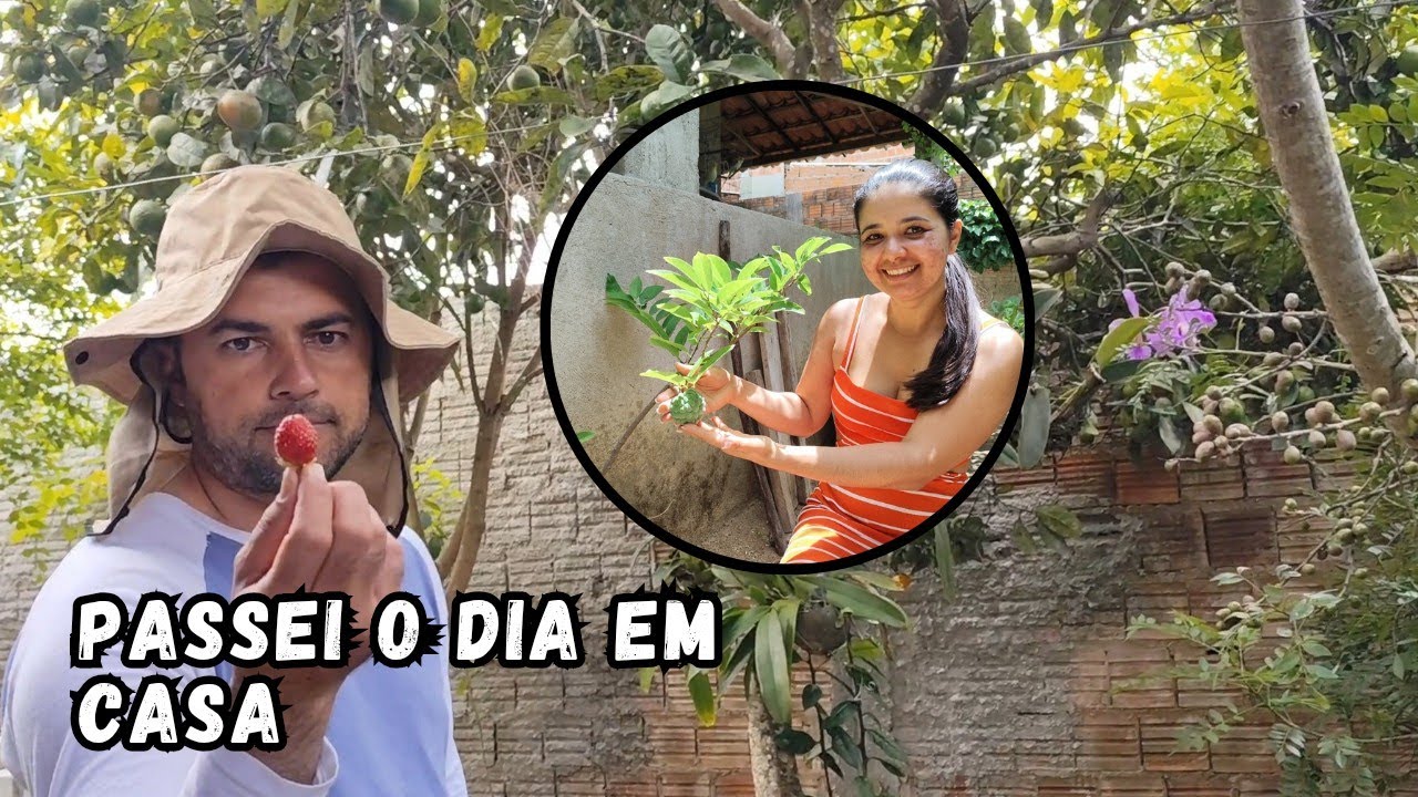 COMO ESTOU ME SENTINDO E OLHA A SURPRESA EM NOSSO QUINTAL