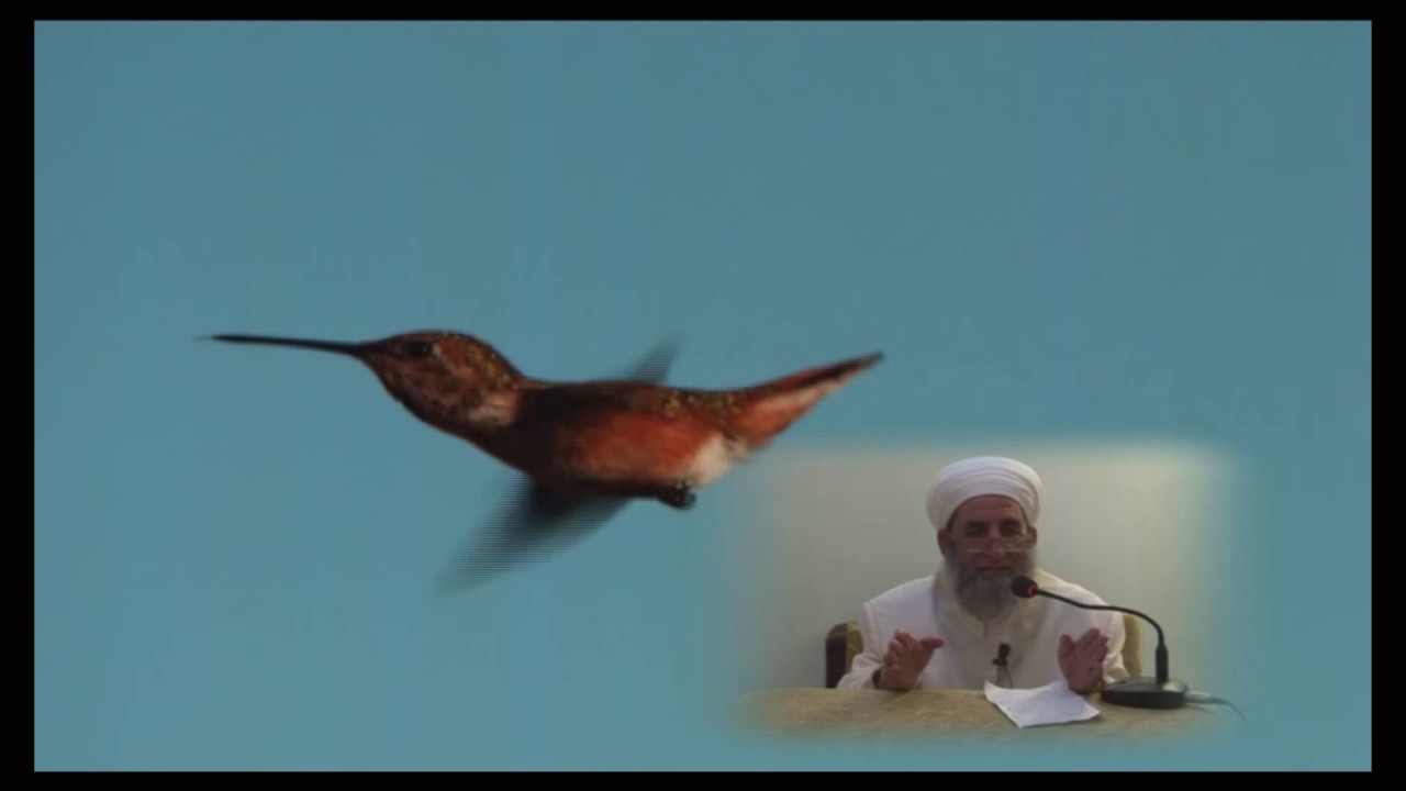 Tövbe ile Allah'a cc Yönelmek - Seyda Muhammed Konyevi Hazretleri