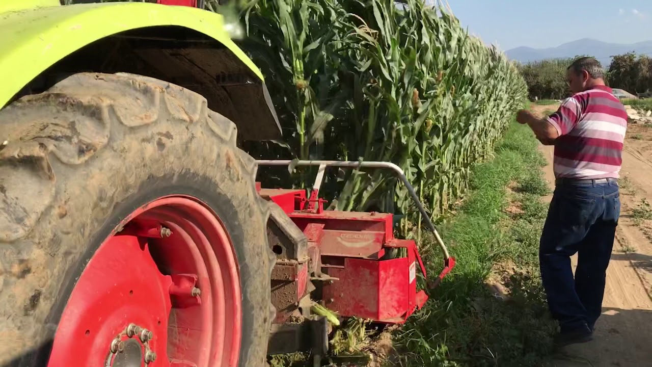 Dört sıra silaj makina ara acma