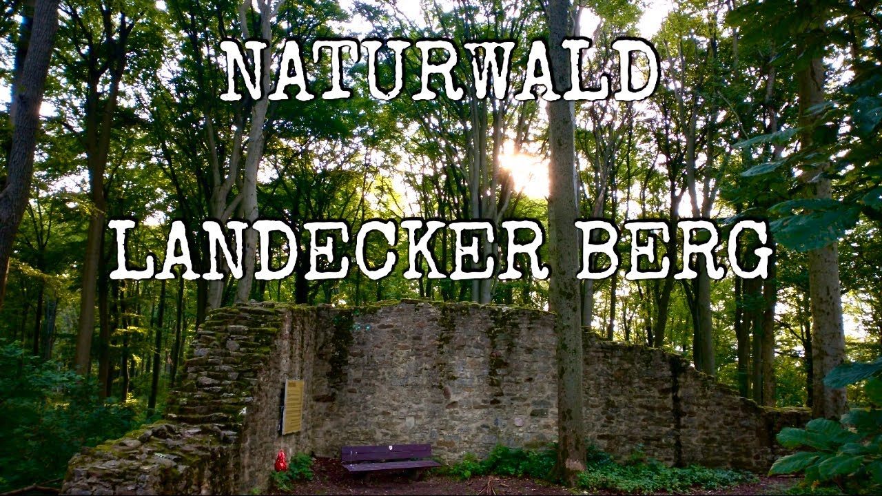 NATURWALD LANDECKER BERG