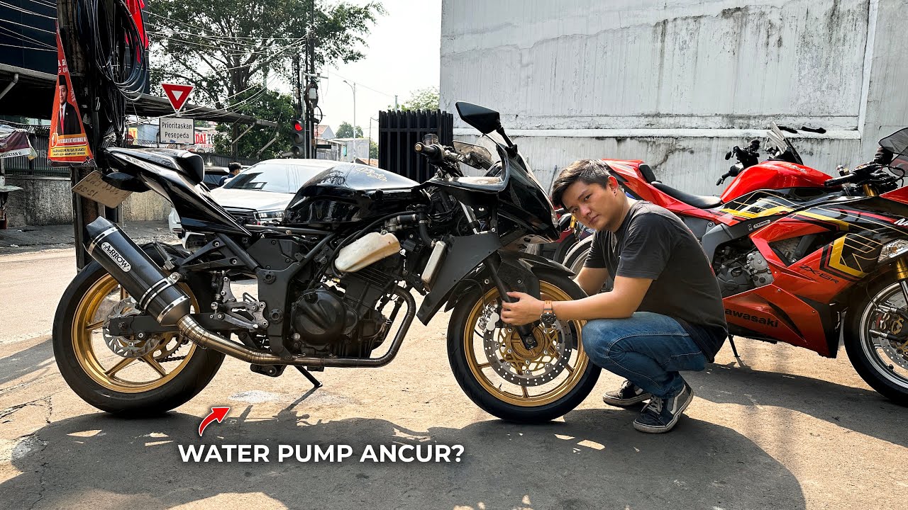 Penyakit Umum Ninja Karbu 🥲 Kondisi TEMI Terkini....
