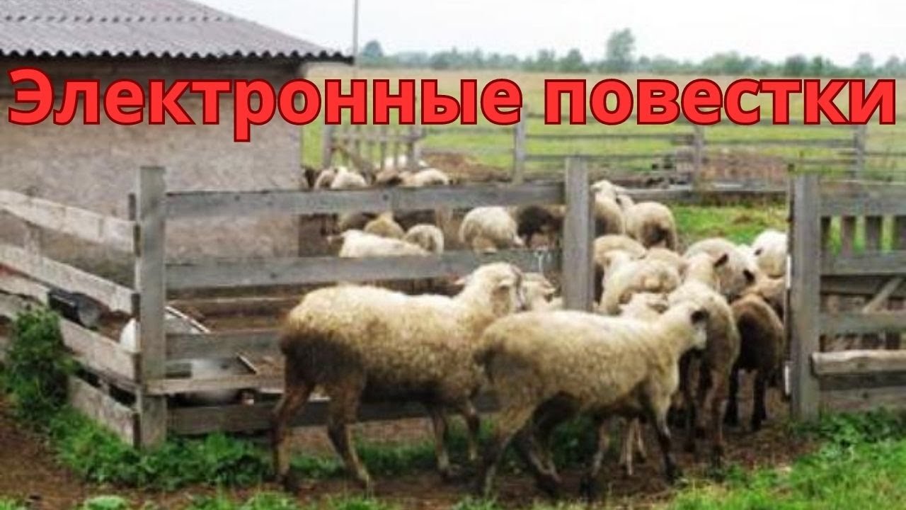 Электронные повестки / Двери закрываются