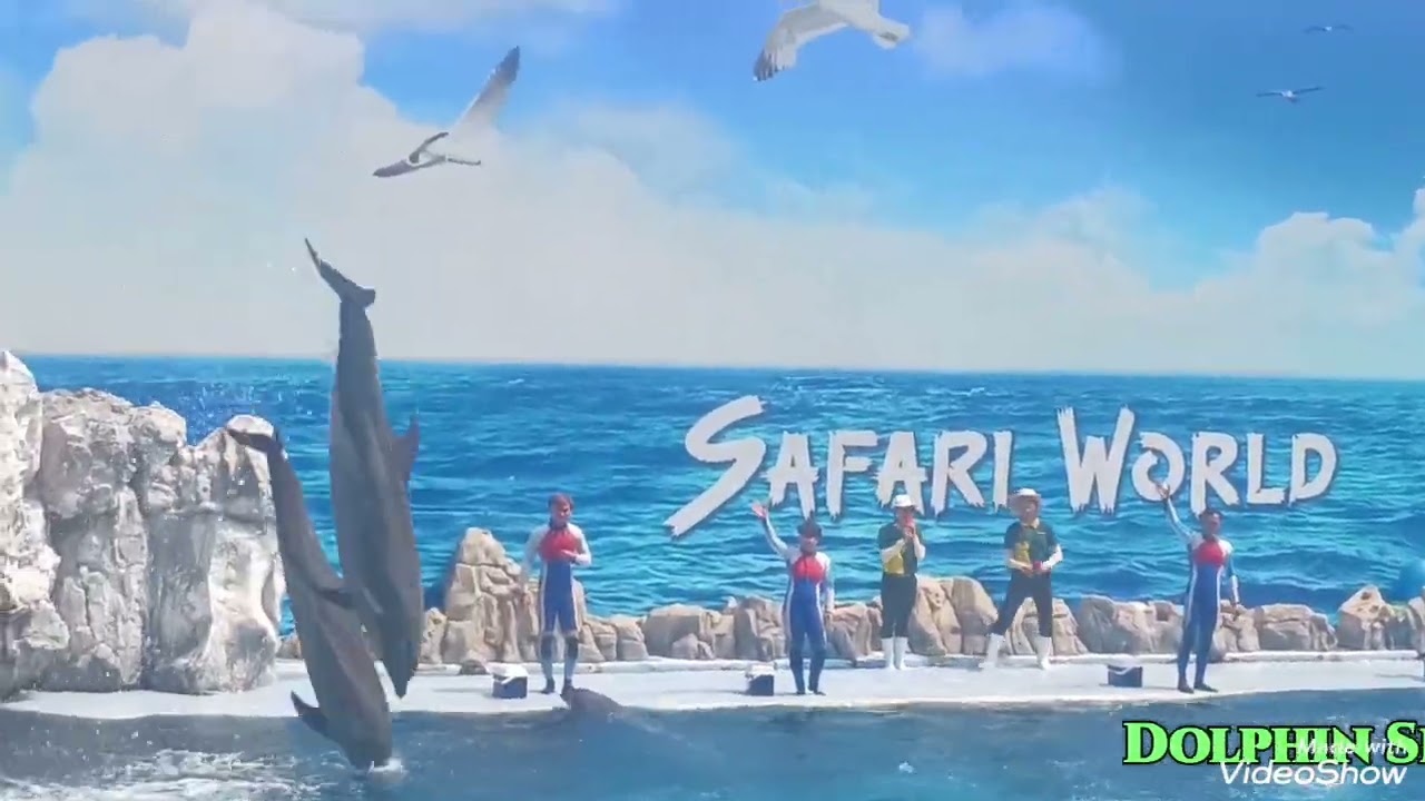 Dolphin show Sabari world Bangkok Thailand 