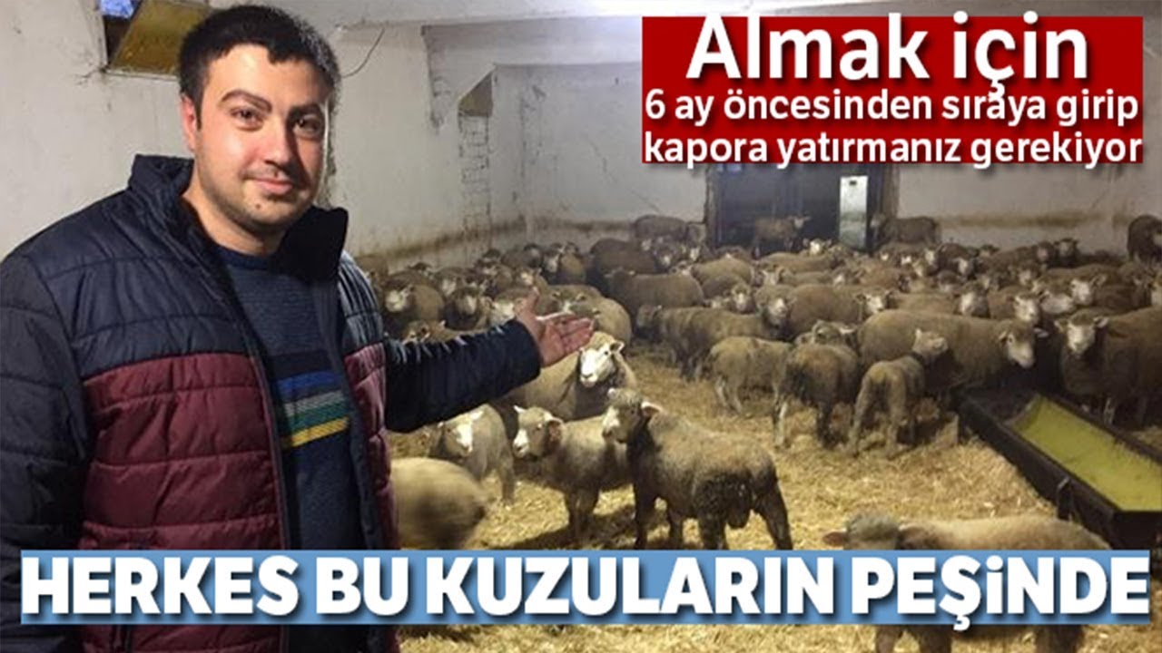 Herkes 'İle de France' Kuzularının Peşinde